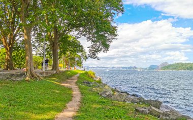 Flamengo Rio de Janeiro Brezilya 'daki ağaçların arkasındaki güzel manzara, kıyı şeridi, dağlar ve Niteroi tepeleri..