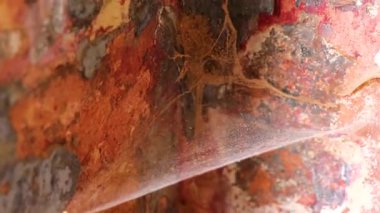 Leninskiy Rayon Brest İlçe Brest Bölgesi 'nde örümcek ağı dokusu desenli Eski Brest Kalesi duvar ve kapı harabeleri.