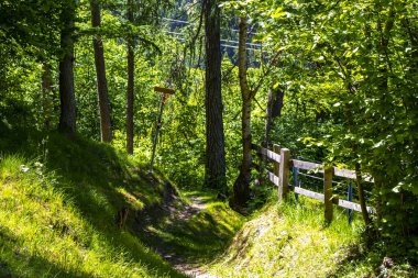 Yazın dağlarda ormanda yürüyüş parkurunda Alplerde Uçan Landeck Tyrol Avusturya 'da.