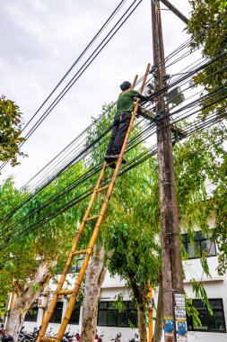 Chiang Mai Amphoe Mueang Chiang Mai Tayland 31 numara. Ekim 2018 Güneydoğu Asya 'daki Chiang Mai Tayland' daki bambu merdivenlerinin elektrik hatlarını tamir ediyorlar..