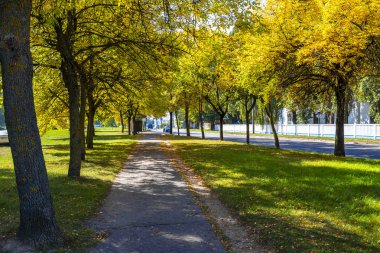 Brest Brest Bölgesi Belarus 23. Eylül 2020 Sonbahar yağmurlu şehir merkezi caddesi turuncu sarı yapraklar ve yağmurla Leninskiy Rayon Brest Bölgesi Belarus.