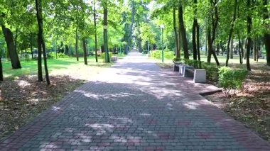Brest Brest Bölgesi Belarus 20. Eylül 2020 Brest City Park yeşil doğa çiçekleri sanat yürüyüşü insanları ve Leninskiy Rayon Brest Belarus manzara heykelleri.
