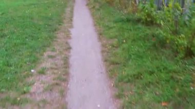 Brest Brest Bölgesi Belarus 26. Eylül 2020 Leninskiy Rayon Brest Bölgesi 'ndeki garaj ve ağaçlar arasındaki köyde.