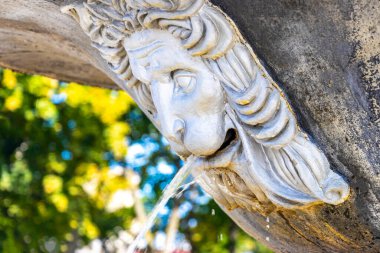 Brest Brest Bölgesi Belarus 20. Eylül 2020 Leninskiy Rayon Brest Belarus 'ta aslan süslemeleriyle süslü şehir çeşmesi.