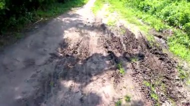 Leninskiy Rayon Brest İlçe Brest Bölgesi Belarus 'ta bir orman yolu ve patika üzerinde kırsal köyde doğa yürüyüşü.