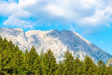 Avusturya 'nın doğu Alpleri' nde dağ ve dağlık arazi dağları ve kayaların zirveleri yeşil tarlalar, orman köknar ağaçları, doğa ve mavi gökyüzü..