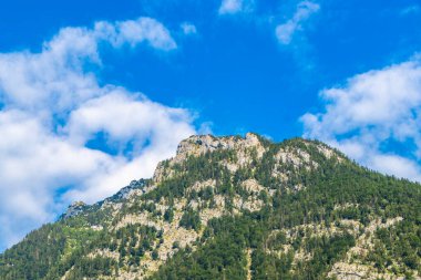 Dağ ve Alp Tepesi manzara dağları ve kayalar yeşil tarlalar, orman köknar ağaçları mağara ve Doğu Alpler 'deki mavi gökyüzü Avusturya Bölgesi..