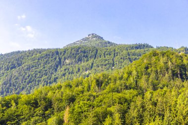 Avusturya 'nın doğu Alpleri' nde dağ ve dağlık arazi dağları ve kayaların zirveleri yeşil tarlalar, orman köknar ağaçları, doğa ve mavi gökyüzü..