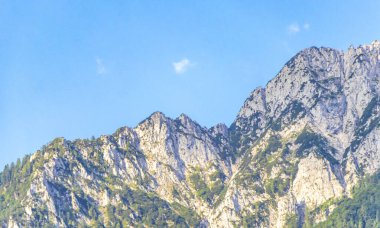 Avusturya 'nın doğu Alpleri' nde dağ ve dağlık arazi dağları ve kayaların zirveleri yeşil tarlalar, orman köknar ağaçları, doğa ve mavi gökyüzü..