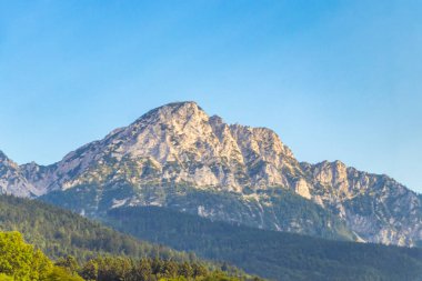 Avusturya 'nın doğu Alpleri' nde dağ ve dağlık arazi dağları ve kayaların zirveleri yeşil tarlalar, orman köknar ağaçları, doğa ve mavi gökyüzü..