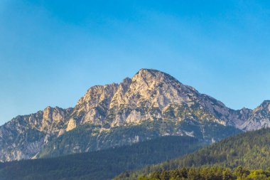 Avusturya 'nın doğu Alpleri' nde dağ ve dağlık arazi dağları ve kayaların zirveleri yeşil tarlalar, orman köknar ağaçları, doğa ve mavi gökyüzü..