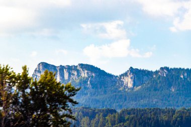 Avusturya 'nın doğu Alpleri' nde dağ ve dağlık arazi dağları ve kayaların zirveleri yeşil tarlalar, orman köknar ağaçları, doğa ve mavi gökyüzü..