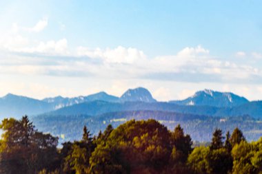 Avusturya 'nın doğu Alpleri' nde dağ ve dağlık arazi dağları ve kayaların zirveleri yeşil tarlalar, orman köknar ağaçları, doğa ve mavi gökyüzü..