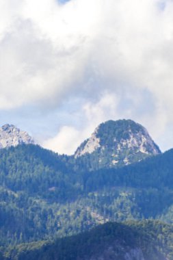 Dağ ve dağlık dağ ve dağ manzaraları dağları ve kayalar yeşil tarlaları olan manzaralar ormanlar köknar ağaçları ve Doğu Alp Dağları 'ndaki mavi gökyüzü Güney Avusturya bölgesi.