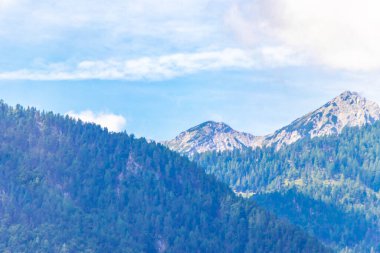 Dağ ve dağlık dağ ve dağ manzaraları dağları ve kayalar yeşil tarlaları olan manzaralar ormanlar köknar ağaçları ve Doğu Alp Dağları 'ndaki mavi gökyüzü Güney Avusturya bölgesi.