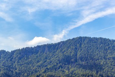 Dağ ve dağlık dağ ve dağ manzaraları dağları ve kayalar yeşil tarlaları olan manzaralar ormanlar köknar ağaçları ve Doğu Alp Dağları 'ndaki mavi gökyüzü Güney Avusturya bölgesi.