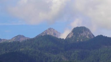 Yeşil tarlalar, orman bulutları, arabalar ve Avusturya 'nın doğu Alpleri' ndeki mavi gökyüzü ile otoyol üzerindeki bir dağ manzarası dağlarının içinden geçmek..