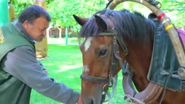 Brest Brest Bölgesi Belarus 20. Eylül 2020 'de Leninskiy Rayon Brest Belarus' tan geçenler için parkta at arabası ve at arabası..