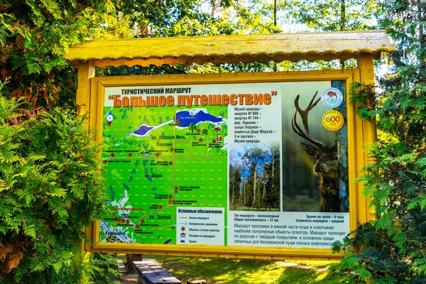 Kamyanyet İlçe Brest Bölgesi Belarus 25. Eylül 2020 Bielaviezskaja Pusca Ulusal Park Bialowieza Ormanı Belarus Bölgesi 'nde turist bilgilendirme panosu park haritası işareti.