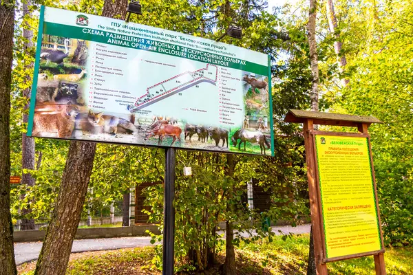 Kamyanyet İlçe Brest Bölgesi Belarus 25. Eylül 2020 Bielaviezskaja Pusca Ulusal Park Bialowieza Ormanı Belarus Bölgesi 'nde turist bilgilendirme panosu park haritası işareti.