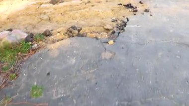 Belarus 'un Leninskiy Rayon Brest İlçe Brest Bölgesi' nde hasarlı doğa yolunda yürüyen ayaklar..