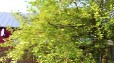 Brest Brest Bölgesi Belarus 2020 Tipik tozlu köy sokakları ve yolları ile Leninskiy Rayon Brest Belarus 'ta ahşap kulübeler ve tuğla evler.