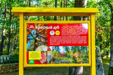 Kamyanyet İlçe Brest Bölgesi Belarus 25. Eylül 2020 Bielaviezskaja Pusca Ulusal Parkı Bialowieza Ormanı 'ndaki ağaç hakkında uyarı panosu.