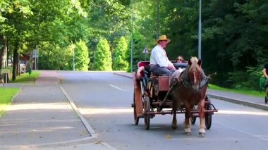Kamyanyet İlçe Brest Bölgesi Belarus 25. Eylül 2020 Bielaviezskaja Pusca Ulusal Park Bialowieza Orman Brest Bölgesi 'ndeki parkta at binmek için.