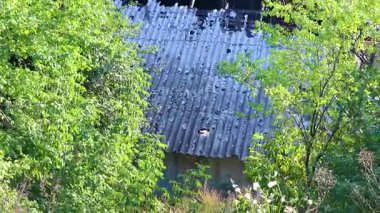 Belarus 'un Leninskiy Rayon Brest Bölgesi' ndeki yanmış sanayi binası..