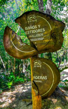 Tulum Quintana Roo Mexico 10. Ekim 2023 Tropikal Orman, Tulum Quintana Roo Meksika 'da tuvalet işaretli..