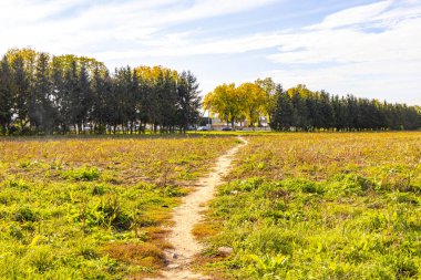 Beyaz Rusya 'nın Mir Karelichy İlçesi Hrodna Bölgesi' nde ağaçlar ve ormanlar arasında yürüyüş yolu..