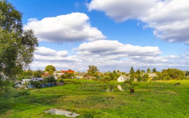 Mir Karelichy İlçesi Hrodna Bölgesi Belarus 'ta, sonbaharda kırsal kesimde kır ağaçları ve ormanlar vardır..