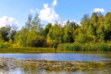 Yeşil doğa ormanları olan Park Civali Tivali Minsk Minsk Bölgesi Belarus 'ta mavi gökyüzü ve yeşil göl suyu..