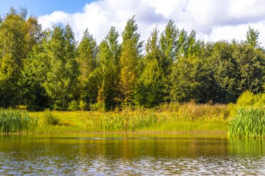 Yeşil doğa ormanları olan Park Civali Tivali Minsk Minsk Bölgesi Belarus 'ta mavi gökyüzü ve yeşil göl suyu..