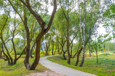 Yeşil doğa ormanlarında yürüyüş yolu ve tarlaları olan Park Civali Tivali ve Minsk Minsk Bölgesi Belarus 'ta bulutlu mavi gökyüzü.