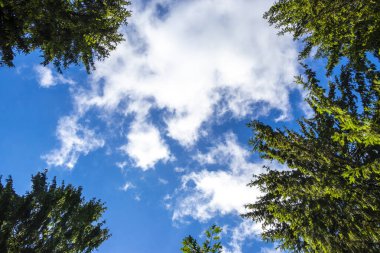 Minsk Minsk Bölgesi Belarus 'ta gökyüzünde tuhaf ve güzel bulut oluşumlarıyla mavi gökyüzü.