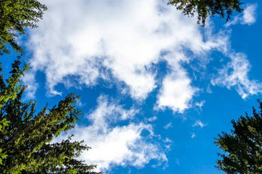 Minsk Minsk Bölgesi Belarus 'ta gökyüzünde tuhaf ve güzel bulut oluşumlarıyla mavi gökyüzü.