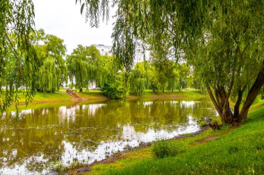 Minsk Minsk Bölgesi Belarus bölgesindeki yeşil göl ve doğa.