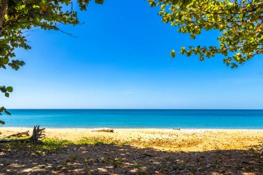 Tropical Mai Khao Beach and Naiyang Beach with jungle forest nature and blue sky in Sirinat National Park Sakhu Thalang District on Phuket island Province Southern Thailand in Southeastasia Asia.