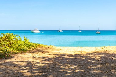 Thalang Bölgesi Phuket Eyaleti Tayland 12. Şubat 2020 Tropikal Mai Khao Sahili ve Niyang Sahili. Tayland 'daki Phuket Adası Sirinat Ulusal Parkı' nda orman insanları turizm ve turizm..