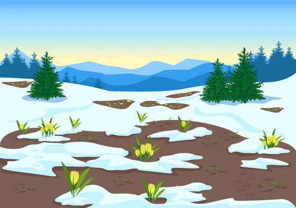 Paysage Printanier Avec Montagnes Forêt Clairières Neige Fondante Crocus Jaunes — Image vectorielle