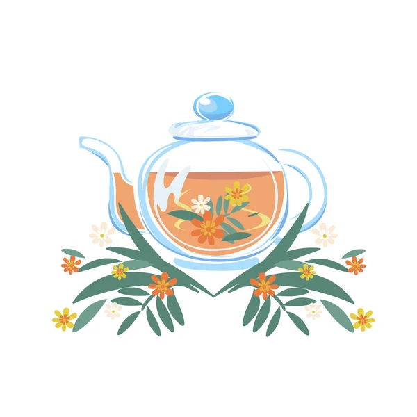 在玻璃杯茶壶里放草药茶 替代药物和饮食 药草的有用特性 在白色背景上孤立的向量图 — 图库矢量图片