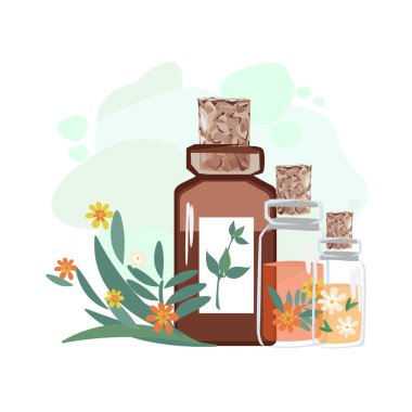 Şifalı bitkilerle, aromatik yağlarla ve bitkisel tentürlerle dolu şişelerin bileşimi. Bitkisel ilaçlar. Alternatif tıp. Reklamcılık, el ilanları ve sosyal ağlar için vektör illüstrasyonu.