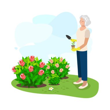 Bahçesine süs bitkileri eken mutlu yaşlı kadın. Aktif emekliler. Vektör illüstrasyonu.