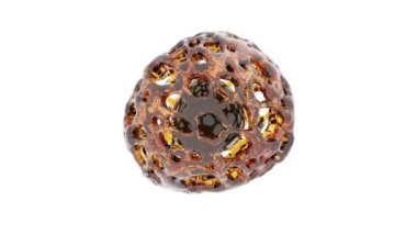 Petrol soyutlaması. Dikdörtgen 4k döngü yapabiliyor.