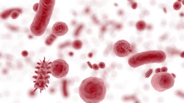 Microbiota Intestinal Roja Bacterias Internas Del Abdomen — Vídeo de stock