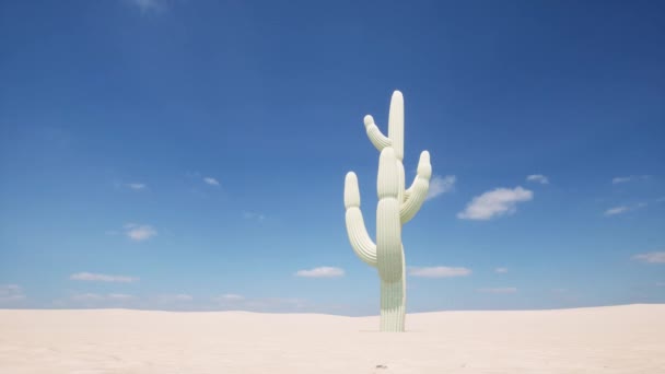 Одинокий Кактус Пустыне Солнечная Погода Жаркое Небо Облаков — стоковое видео