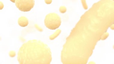 Vücut içindeki mikrobiyo yağ hücreleri organik bakteriler yavaş hareket ediyor.