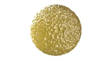 Beyaz sırtlı yağlı nabız. Sonsuz döngüye girebilir.