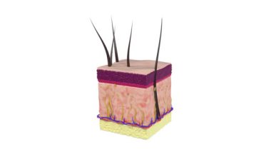 Cilt bakımı, cilt küpünün katmanlarını keserek sonsuz döngüye girebilir.